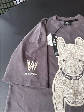Overfit Short Sleeve Tee in gray with Graphic